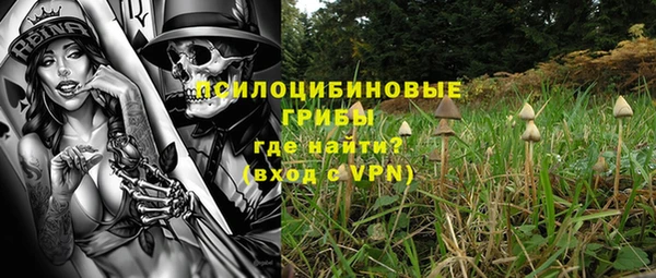 гидра Дубна