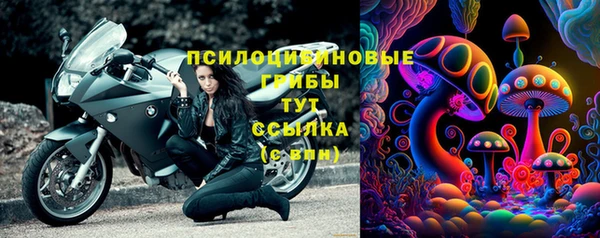 марки lsd Новозыбков