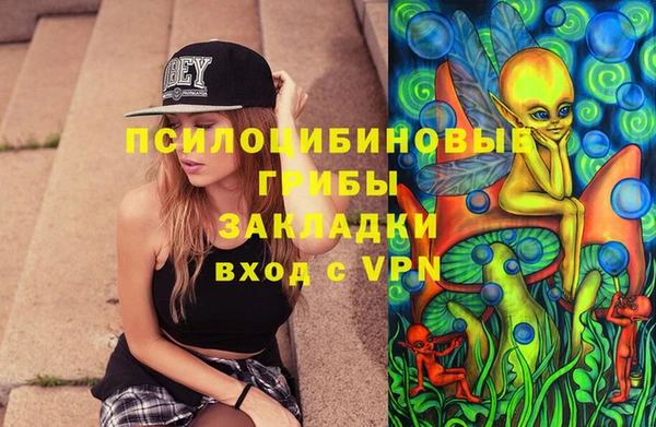 mdma Новодвинск