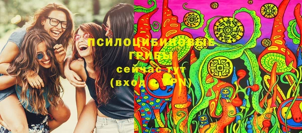 спиды Медвежьегорск
