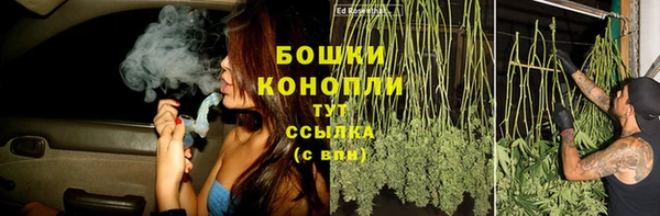 мяу мяу мука Козельск