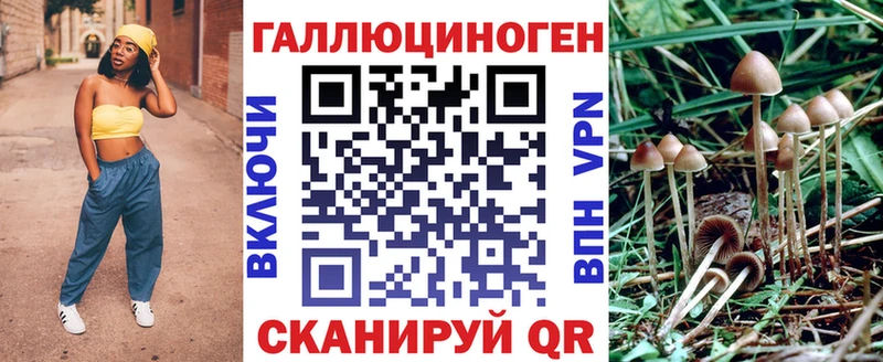 Псилоцибиновые грибы Psilocybine cubensis Избербаш