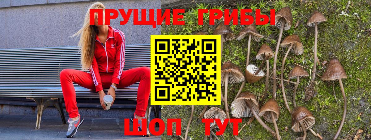 Псилоцибиновые грибы ЛСД Избербаш