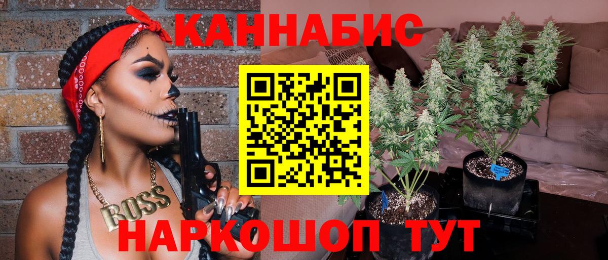Канабис Bruce Banner Избербаш
